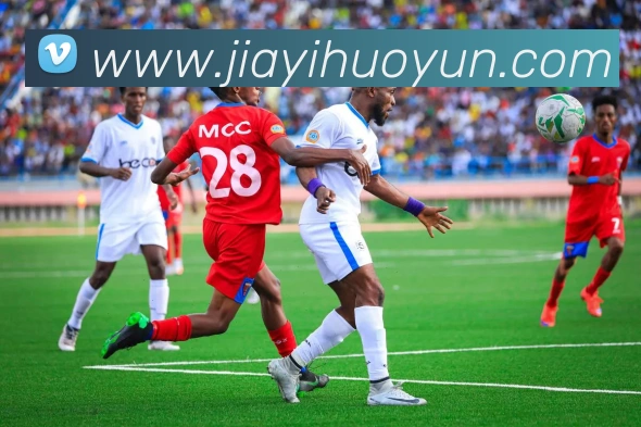 mksports在线登录入口服务体系